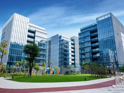 广东远洋直租2025park甲级写字楼免租期