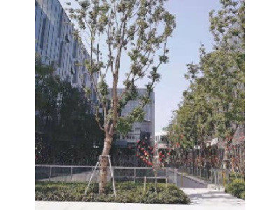 上海闵行区虹桥核心区  正荣中心6500平商业独栋，可冠名