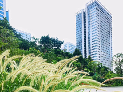 广东广州黄埔区归谷科技园2091平米写字楼出租 三地铁 花园式办公