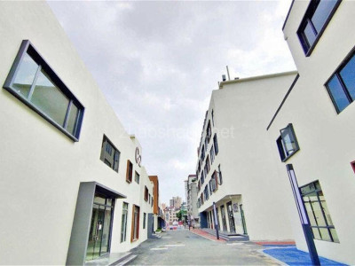 广东广州海珠区东晓南1210平米写字楼出租 平层独栋均有 彰显企业气派 送花园