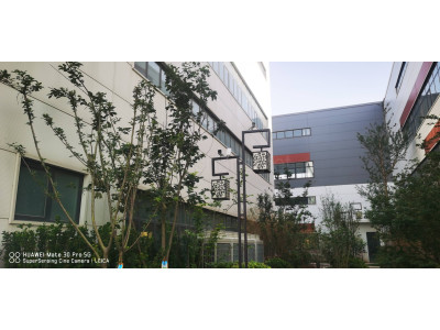 新乡原阳县1000平米厂房出售 配套齐全 面积灵活