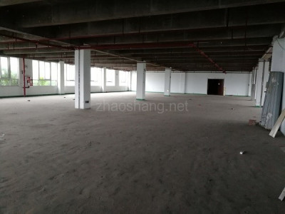 虹口区厂房出租上海虹桥1600平标准厂房出租 优惠政策