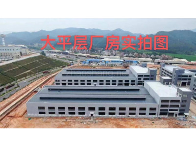河源连平县5000平米厂房出售 配套齐全 面积灵活 政府扶持