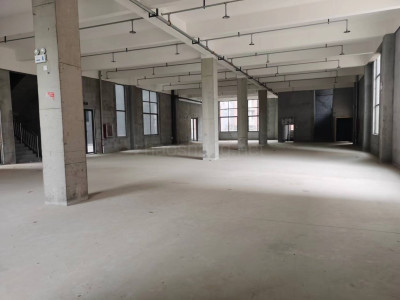 中德产业园全新多层独栋厂房2800㎡出租 环境好