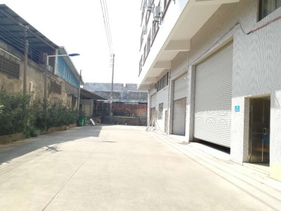 广州番禺钟村标准厂房仓库出租 非中介 独院管理 层高7米