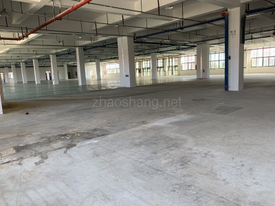 急！政府产权 980平 标准化 仓库 电商云集