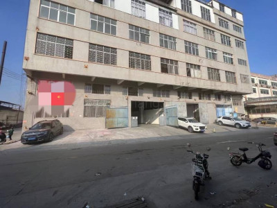 广州番禺区14628平米厂房出租 可分租 价格便宜 交通便利 随时带看