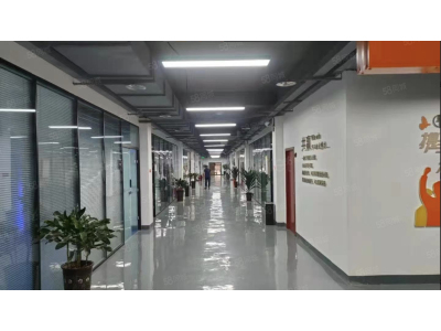 政府产权免租期政策出租配套齐全，面积选择性大