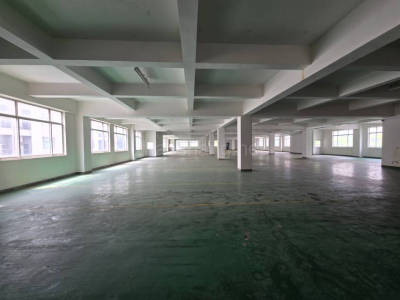 黄浦区厂房出租松江区830平米厂房出租