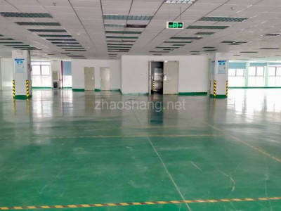 越秀区厂房出租广州黄埔区1000平米厂房出租