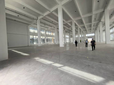 武邑县厂房出租邯郸大名县新建食品产业园出租